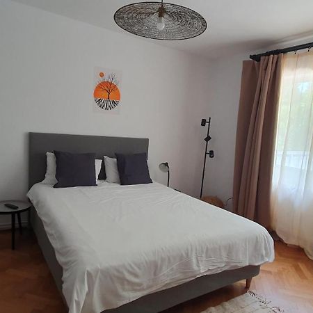The Pines Serviced Apartments Брашов Екстериор снимка