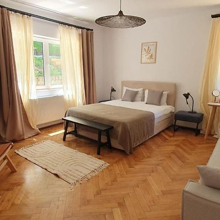 The Pines Serviced Apartments Брашов Екстериор снимка