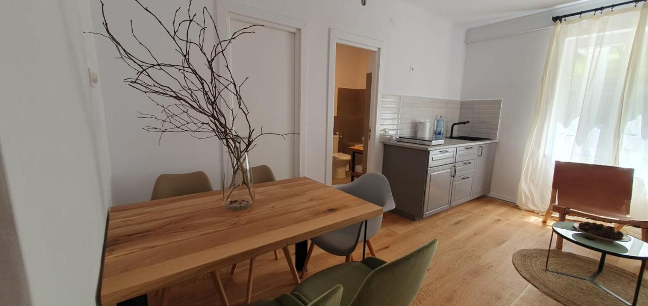 The Pines Serviced Apartments Брашов Екстериор снимка