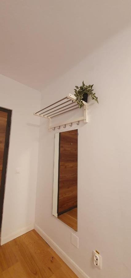 The Pines Serviced Apartments Брашов Екстериор снимка